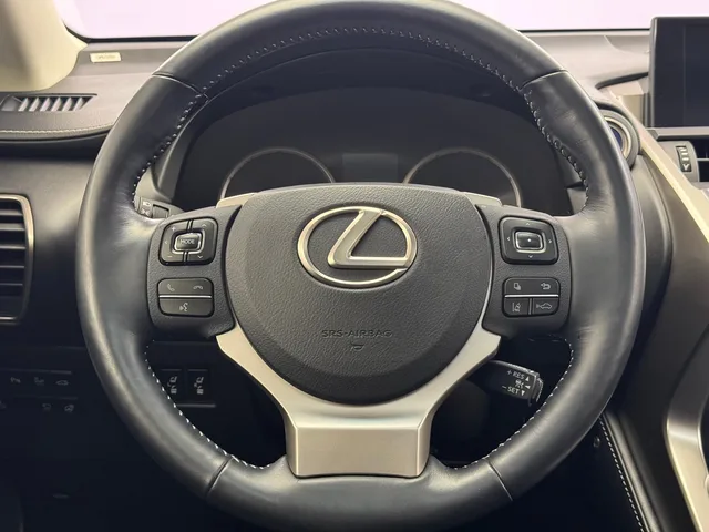 LEXUS NX 300h Excellence AWD