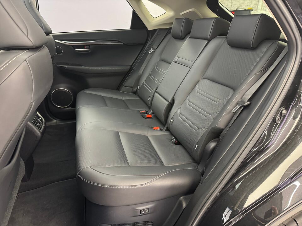 NX 300h Excellence AWD