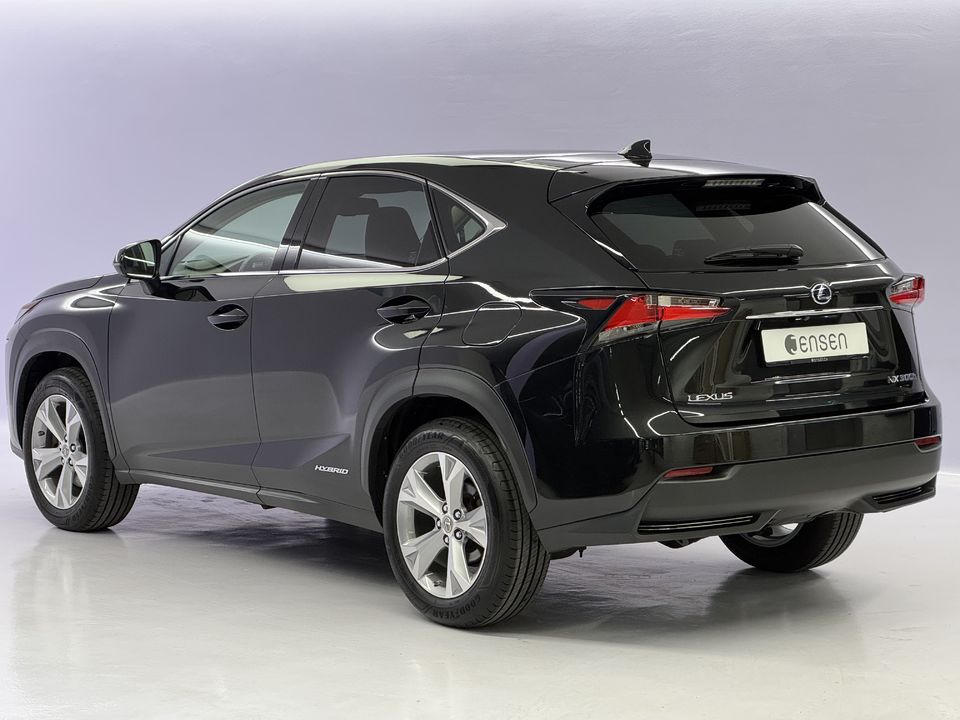 NX 300h Excellence AWD