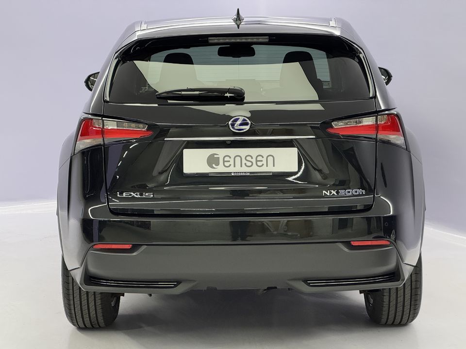 NX 300h Excellence AWD