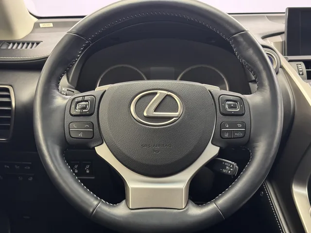 LEXUS NX 300h Excellence AWD