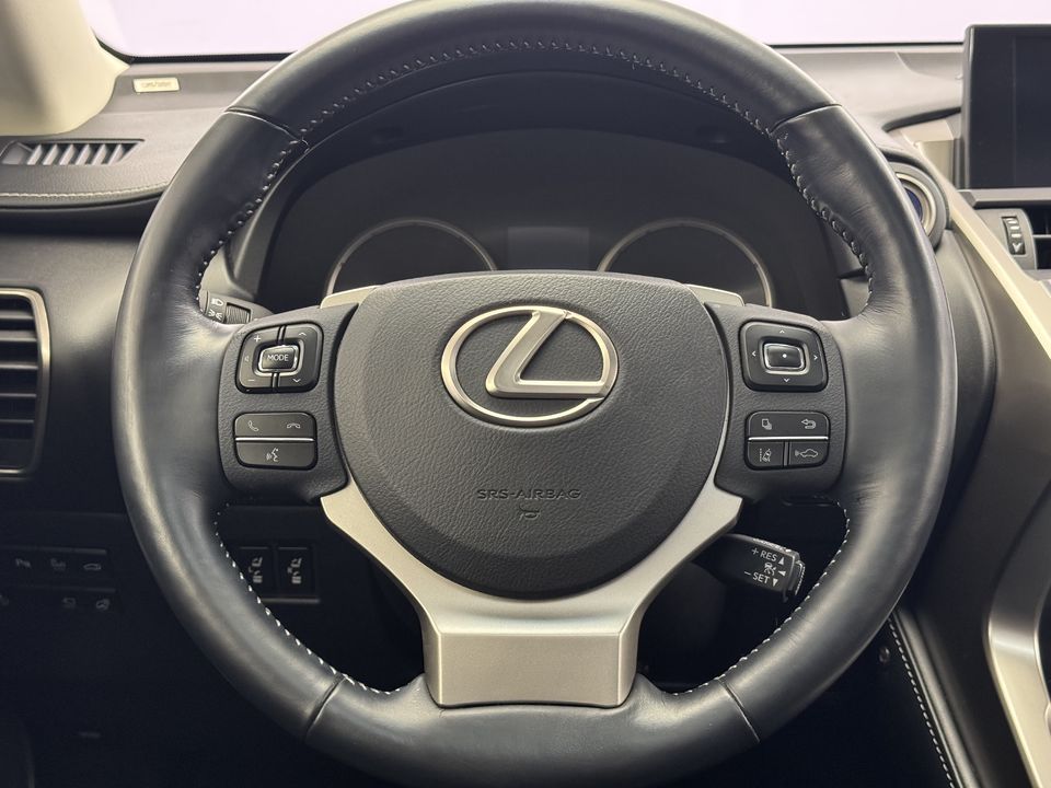 NX 300h Excellence AWD