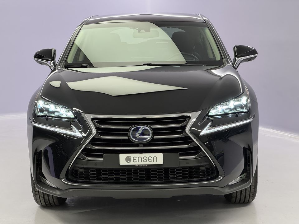 NX 300h Excellence AWD