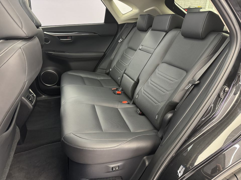 NX 300h Excellence AWD