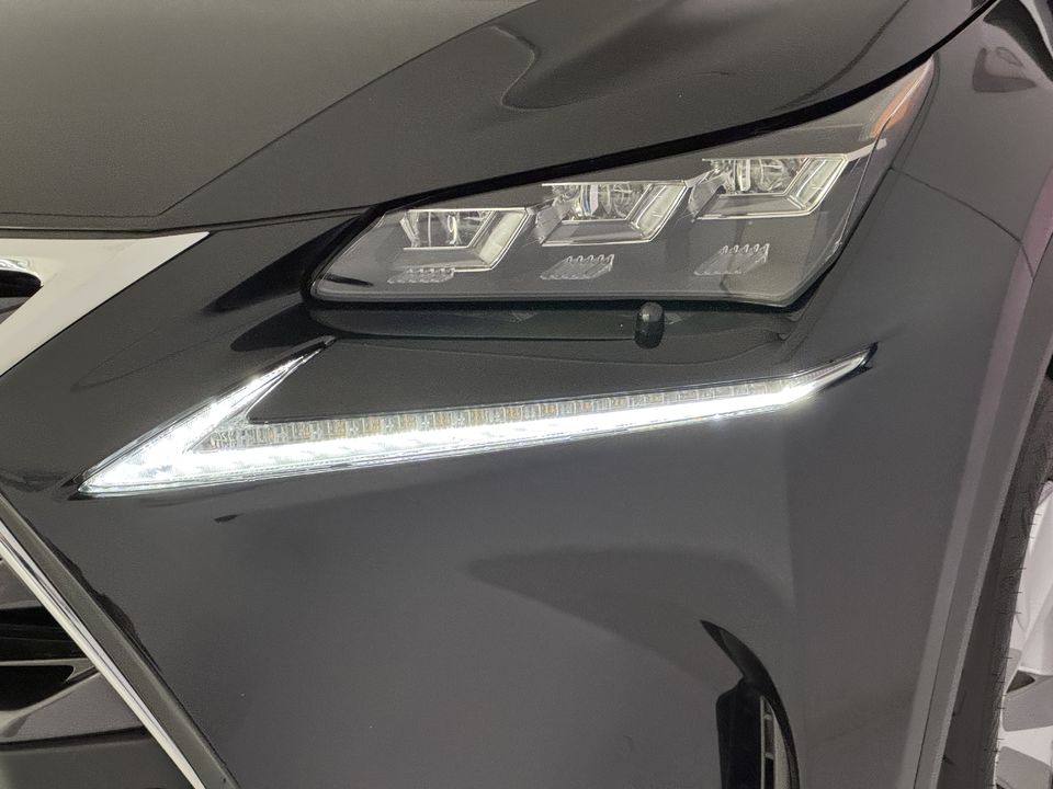 NX 300h Excellence AWD