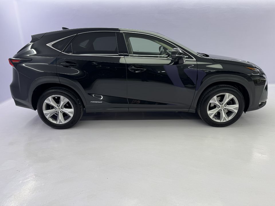 NX 300h Excellence AWD