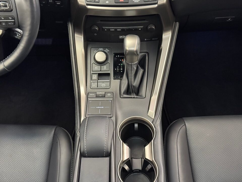 NX 300h Excellence AWD