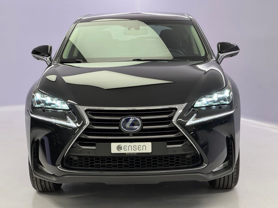 NX 300h Excellence AWD