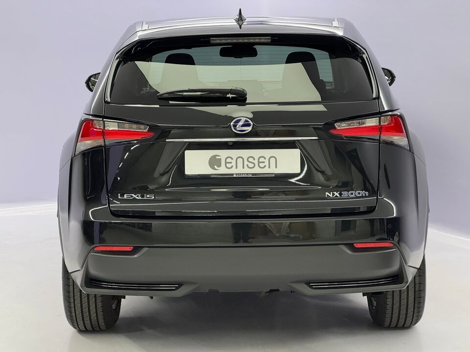 NX 300h Excellence AWD