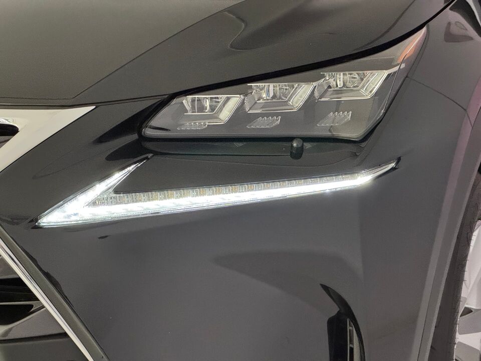 NX 300h Excellence AWD