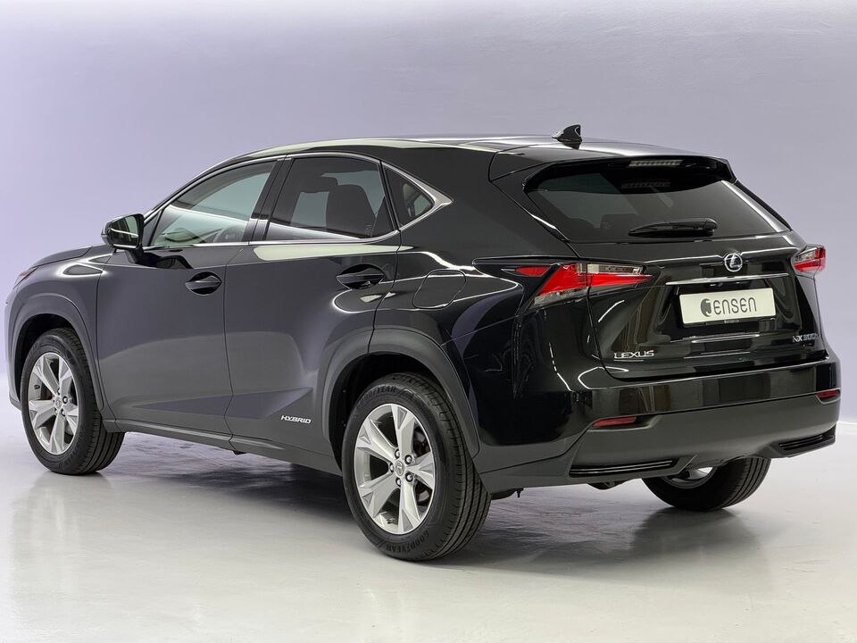 NX 300h Excellence AWD