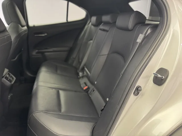 LEXUS UX 300e Excellence