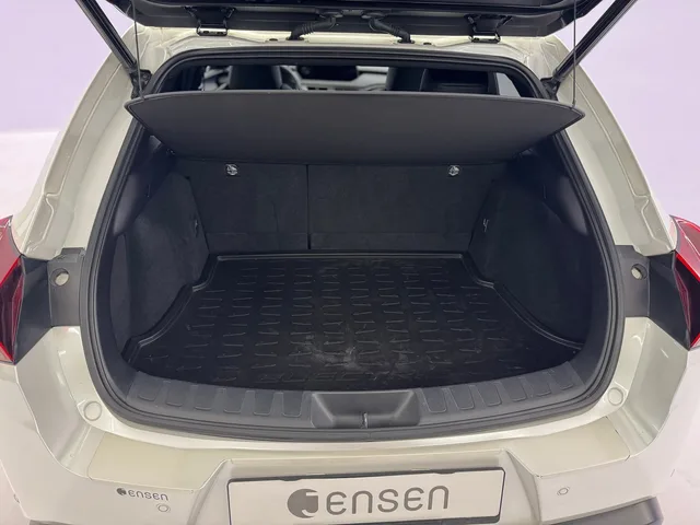 LEXUS UX 300e Excellence