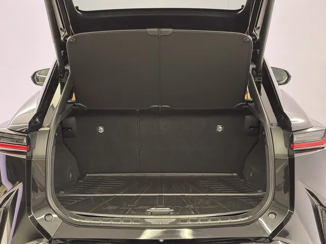 LEXUS RZ 450e Excellence AWD